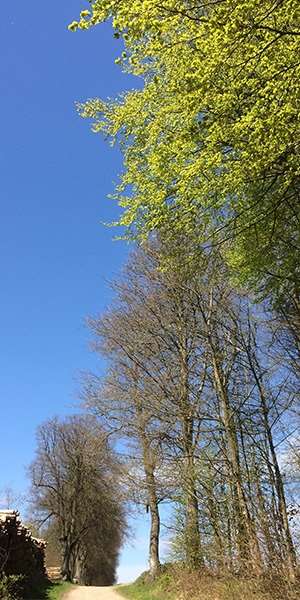 underside-billeder_træk-vejret